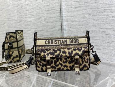 DIOR Handbags 1067